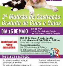 Prefeitura vai realizar 2º Mutirão Gratuito de Castração de Cães e Gatos em Francisco Morato no Jardim Alegria