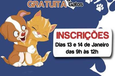 Inscrições para a campanha de castração gratuita de cães e gatos de Caieiras serão feitas nos dias 13 e 14 de janeiro
